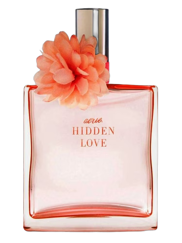 Hidden Love