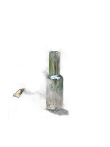 Hoja Santa