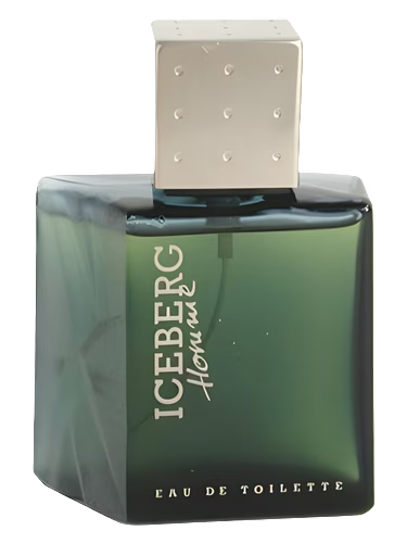 Iceberg Homme