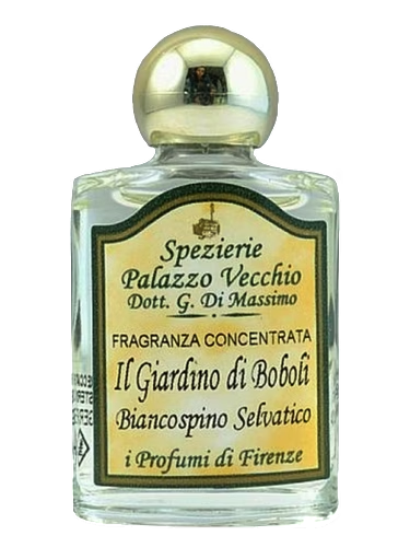 Il Giardino Di Boboli