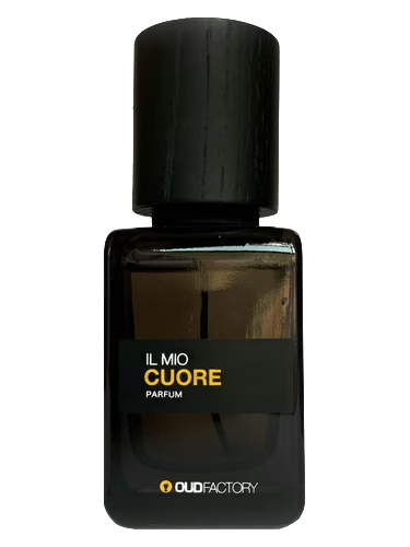 Il Mio Cuore