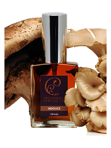 Indolice