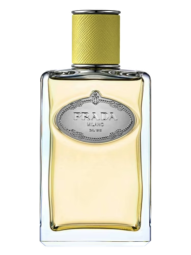 Infusion de Gingembre