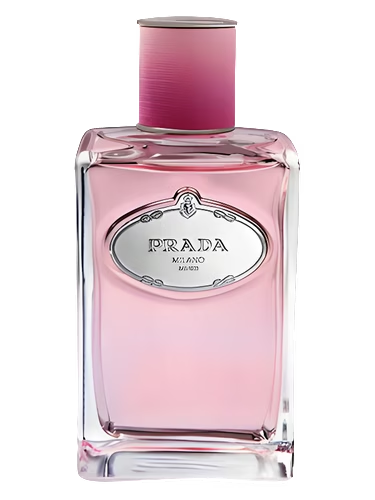 Infusion de Rose