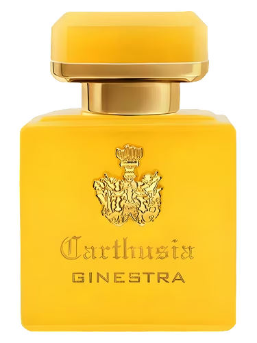 Intenso di Ginestra