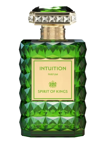 Intuition