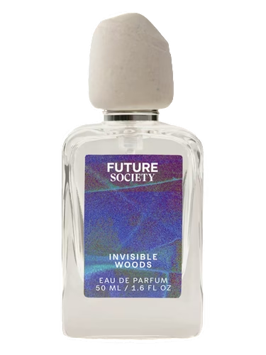 Invisible Woods