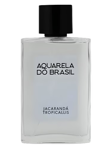 Jacarandá Tropicallis