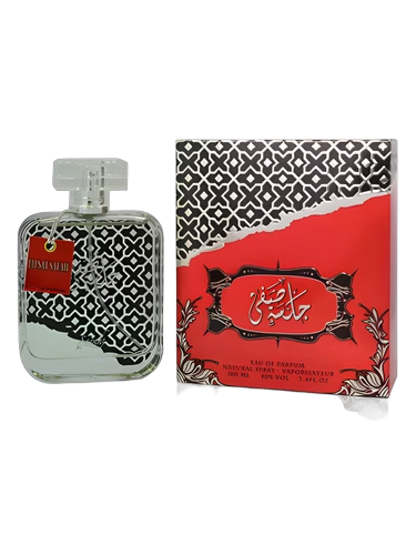 Jalsa Safa