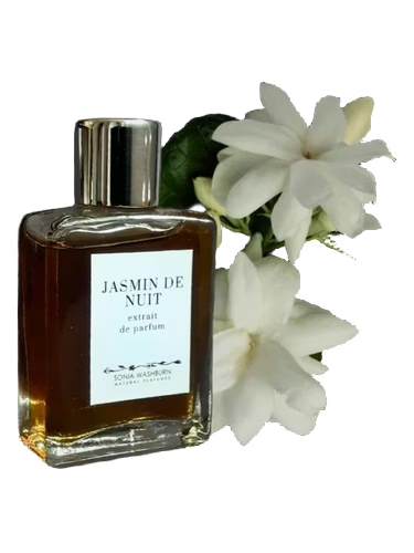 Jasmin De Nuit