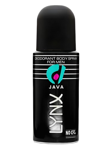 Java