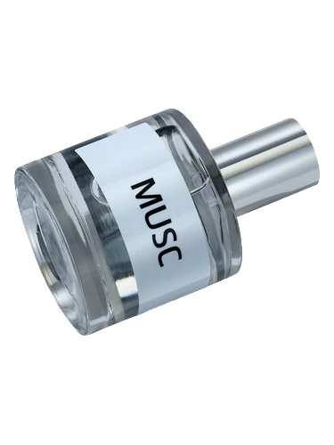 JD Musc Neutre by JD Jeffrey Dame