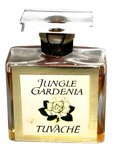Jungle Gardenia by Tuvaché