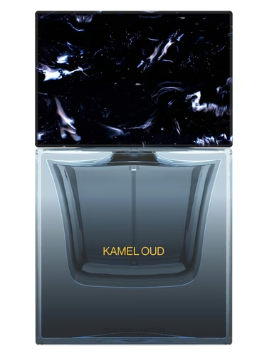 Kamel Oud