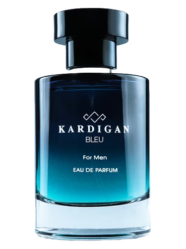 Kardigan Bleu