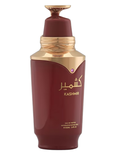 Kashmir by Risala