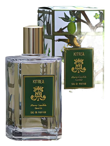 Kitrea by Maria Candida Gentile