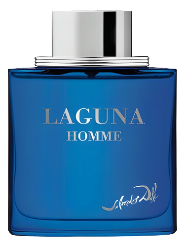 Laguna Homme