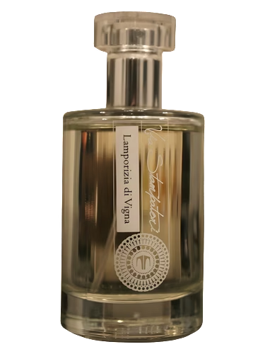Lamporizia di Vigna