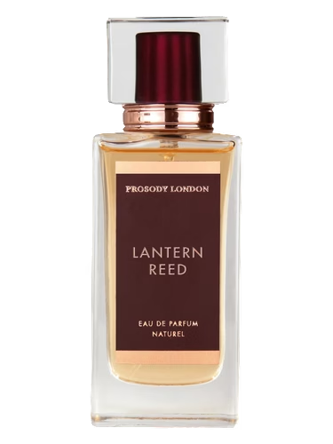 Lantern Reed