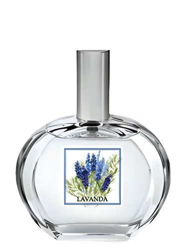 Lavanda