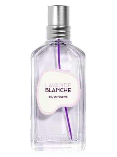 Lavande Blanche