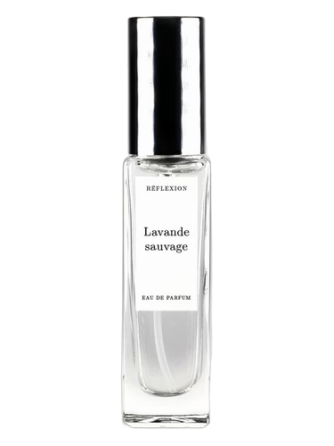 Lavande Sauvage