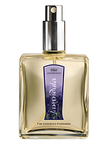Lavandula