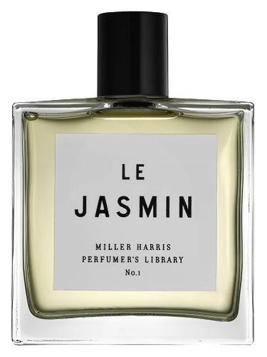 Le Jasmin
