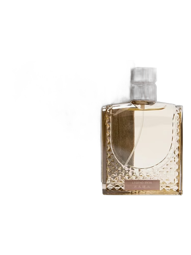 Legend Iron by Zara