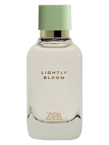 Lightly Bloom
