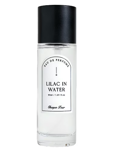 Lilac In Water