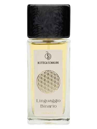 Linguaggio Binario