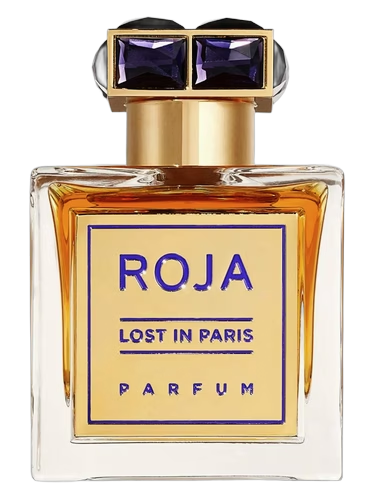 Lost In Paris