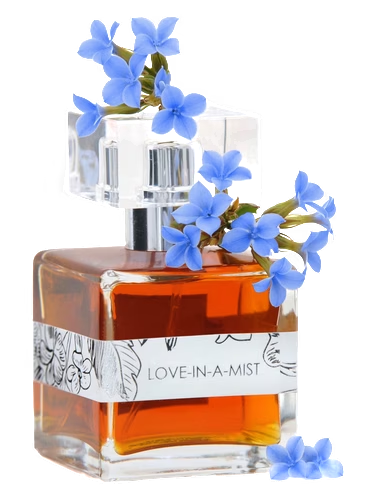 Love-In-A-Mist