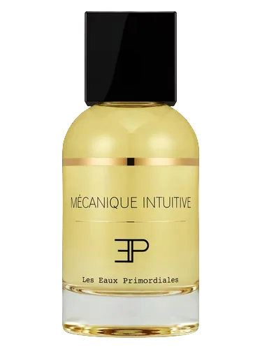 Mécanique Intuitive by Les EAUX Primordiales