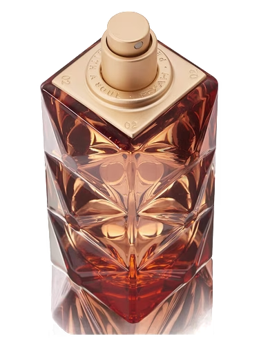 Mémoires d'une Palmeraie 14