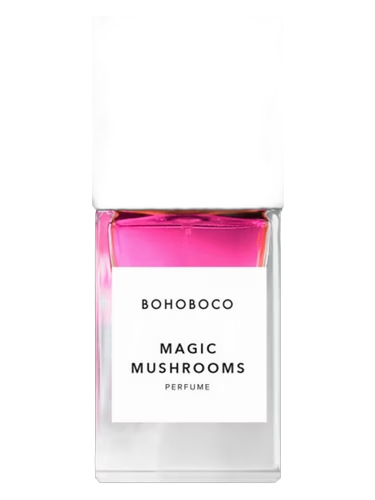 Magic Mushrooms