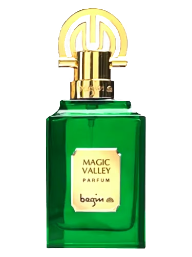 Magic Valley