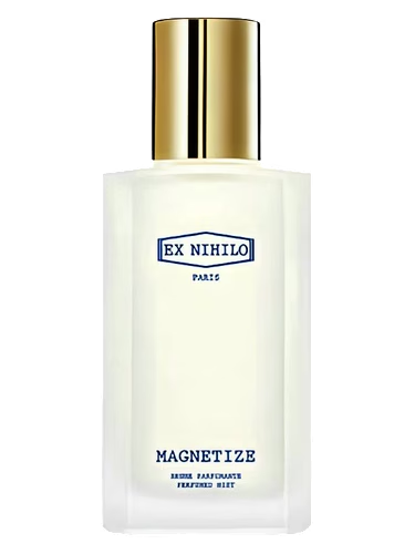 MagnetiIze