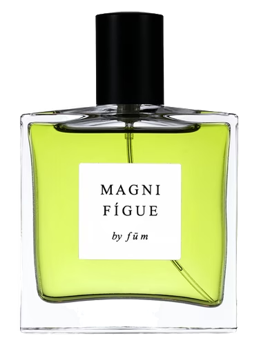 Magnifígue