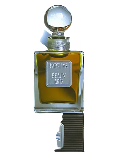 Mahjoun by DSH Perfumes