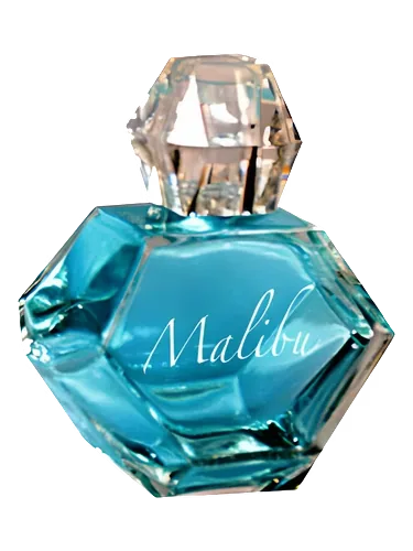 Malibu Day by Pamela Anderson