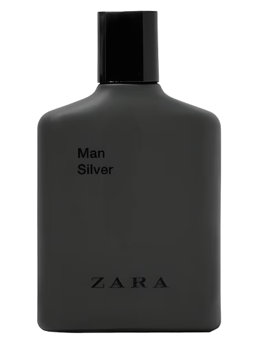 Man Silver by Zara