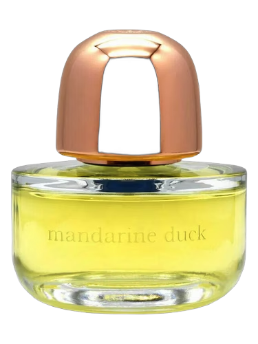 Mandarin Duck