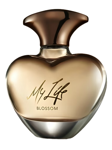 Mary J. Blige My Life Blossom