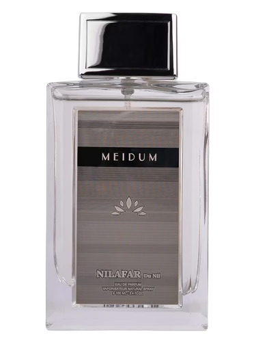 Meidum by Nilafar du Nil