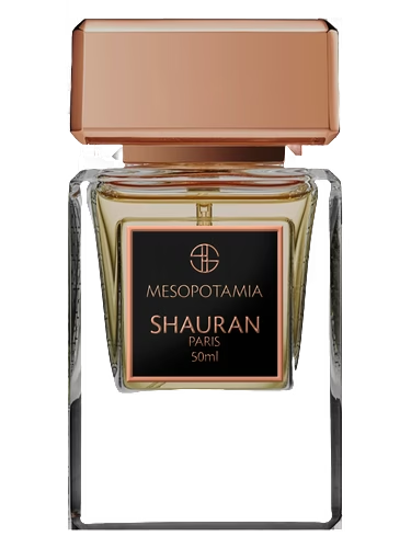 Mesopotamia by Shauran