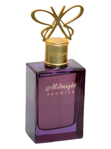 Midnight Promise