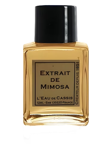 Mimosa